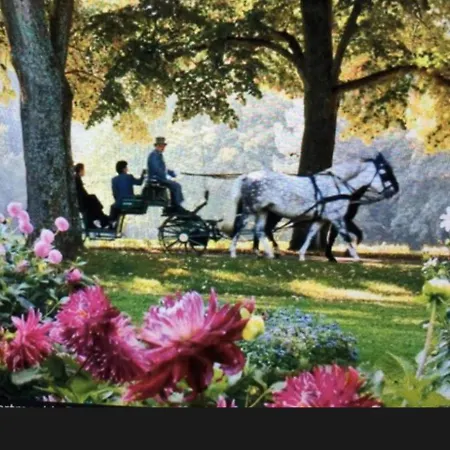 Gemuetliches Baden-Baden