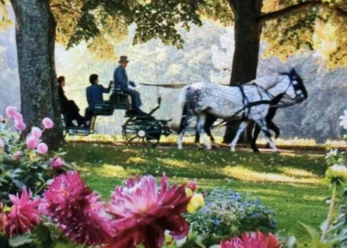 Gemuetliches 바덴바덴